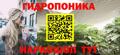 стафф Гатчина