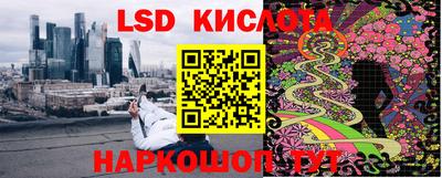 гидра Гай
