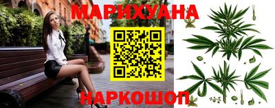 гидра Гай