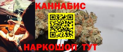 стафф Гатчина