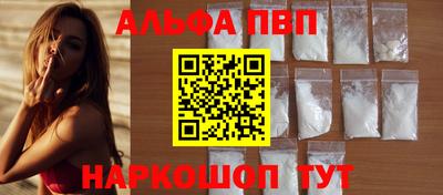 стафф Гатчина