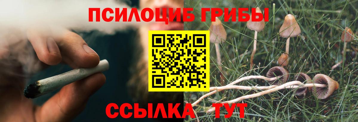 Галлюциногенные грибы мухоморы  Галлюциногенные грибы Psilocybe  Тимашёвск  Вход с VPN 